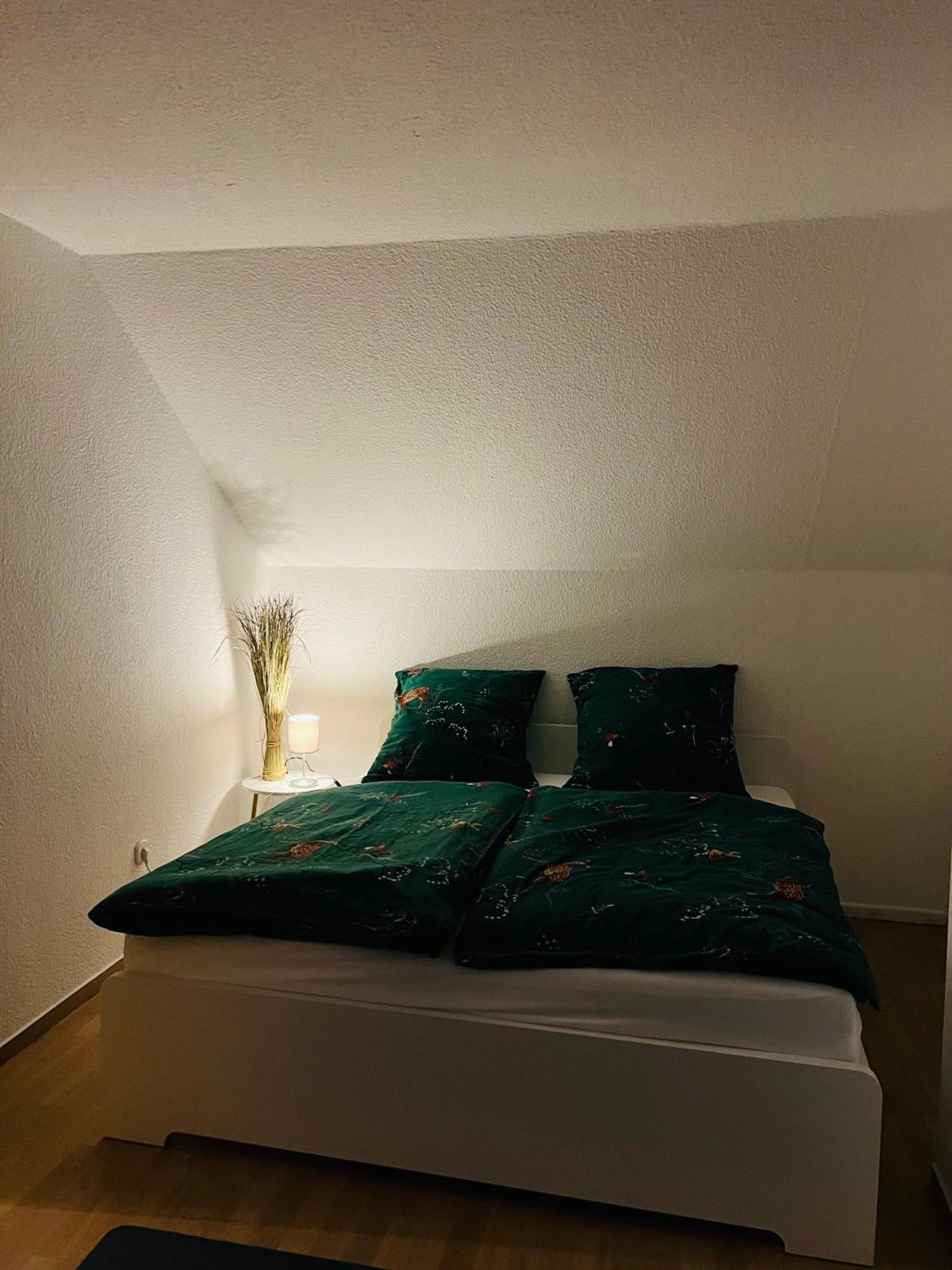 באד סקסה Ferienwohnung Nannerl מראה חיצוני תמונה